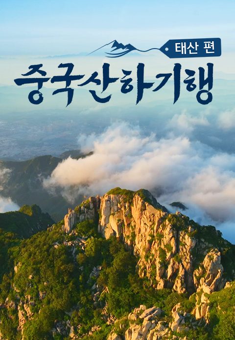 중국산하기행 : 태산 편