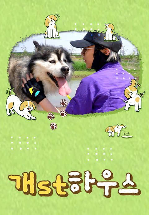 개st하우스