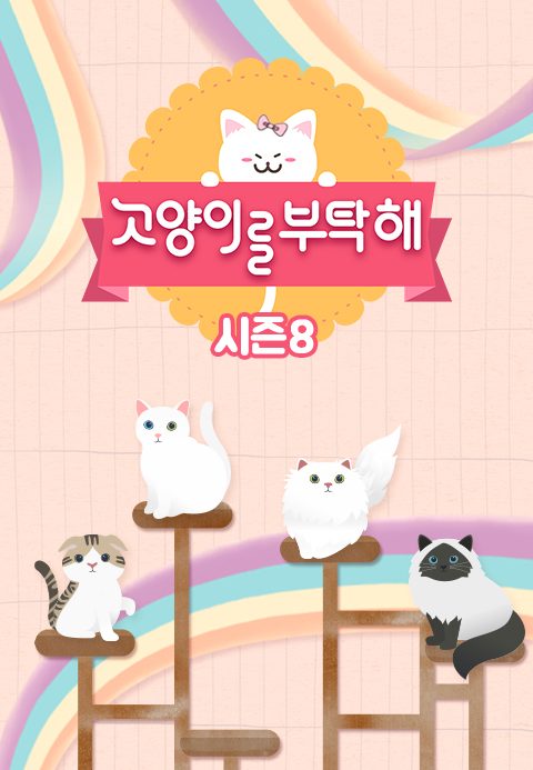 고양이를 부탁해 시즌8