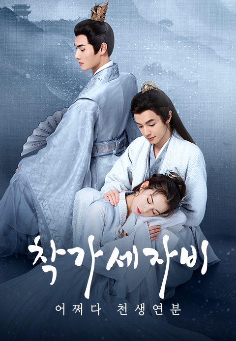 착가세자비 : 어쩌다 천생연분