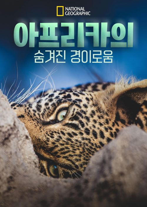 아프리카의 숨겨진 경이로움