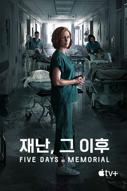 재난, 그 이후