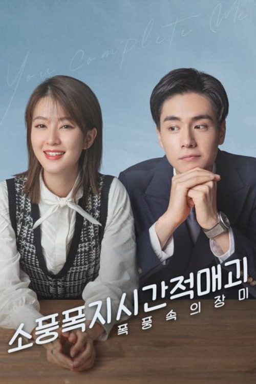 소풍폭지시간적매괴 : 폭풍 속의 장미