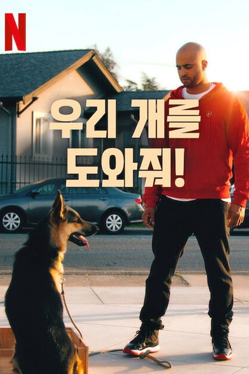 우리 개를 도와줘!