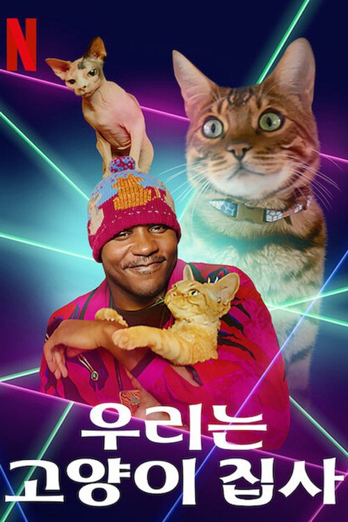 우리는 고양이 집사