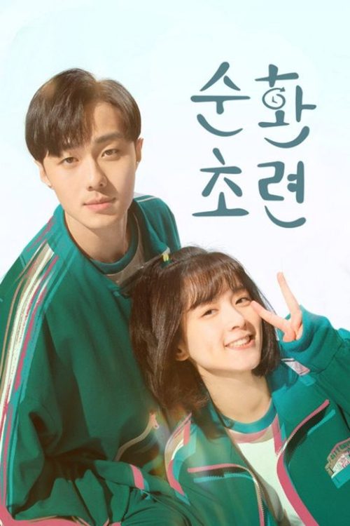 순환초련