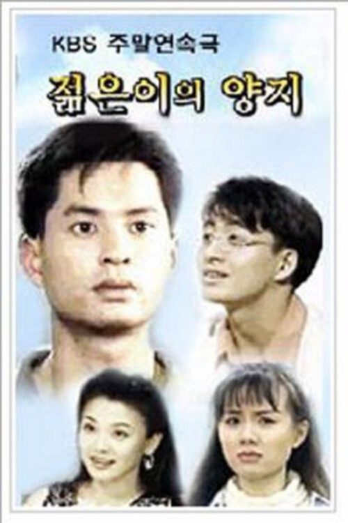 젊은이의 양지