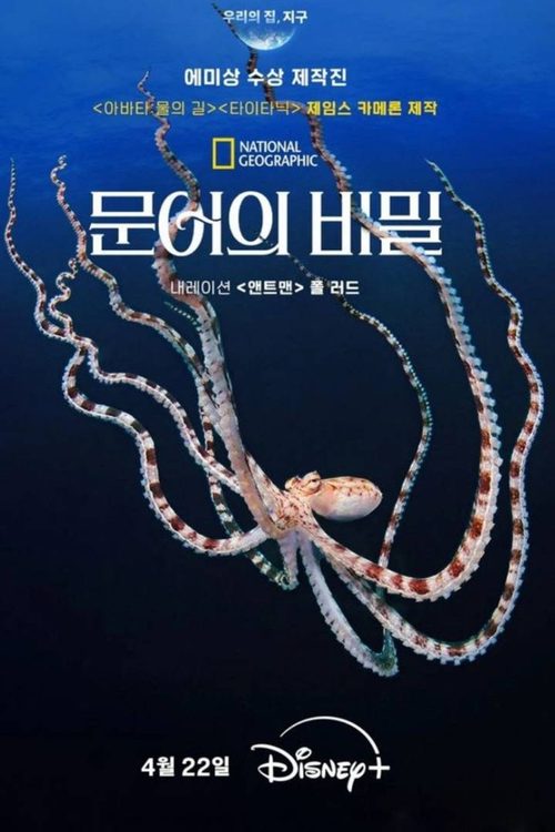 문어의 비밀