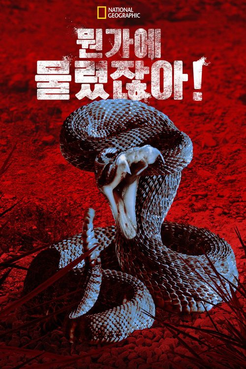 무언가에 물렸어요!