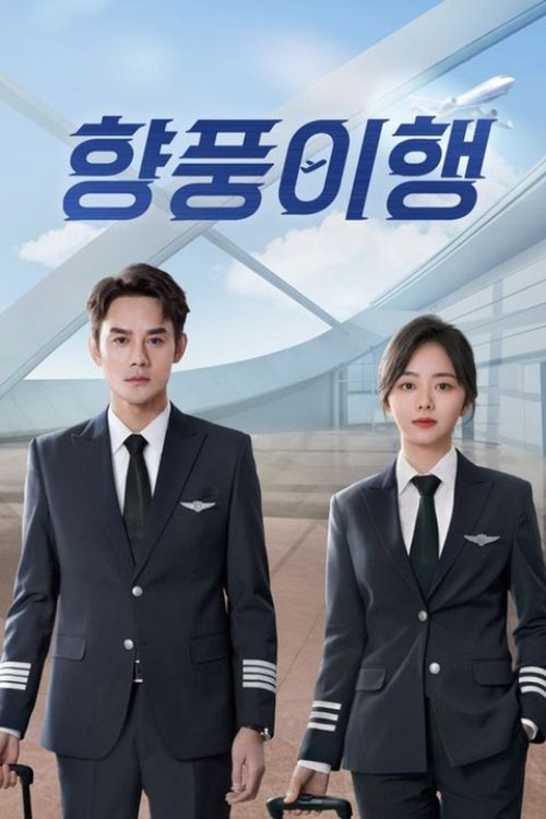 향풍이행