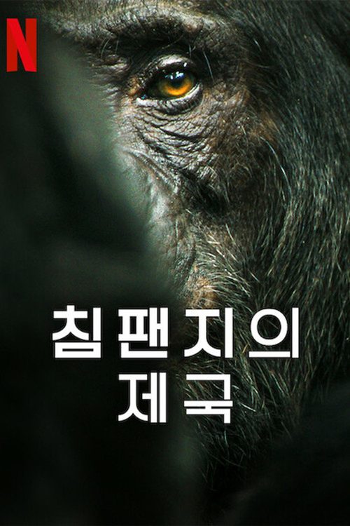 침팬지의 제국