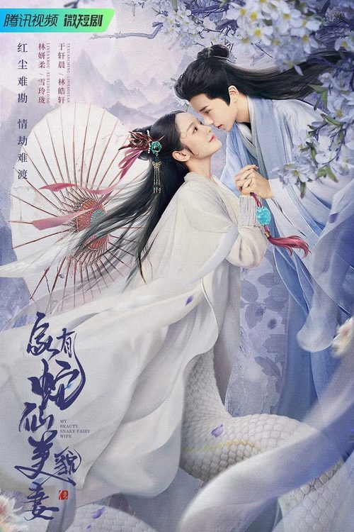 가유사선미모처