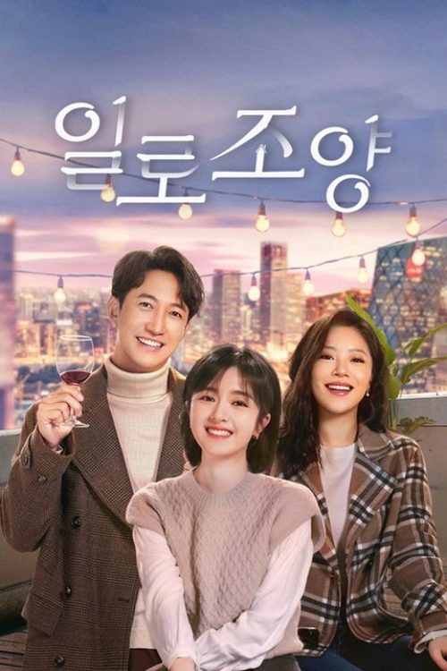 일로조양