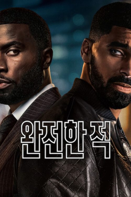 완전한 적