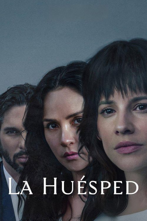손님