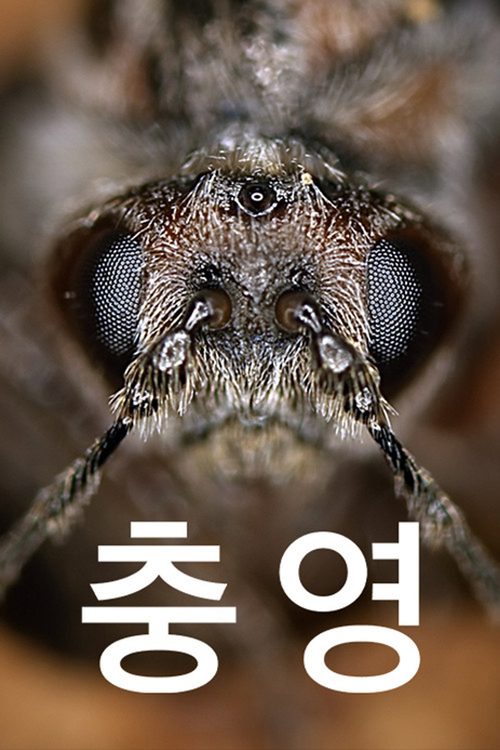 충영