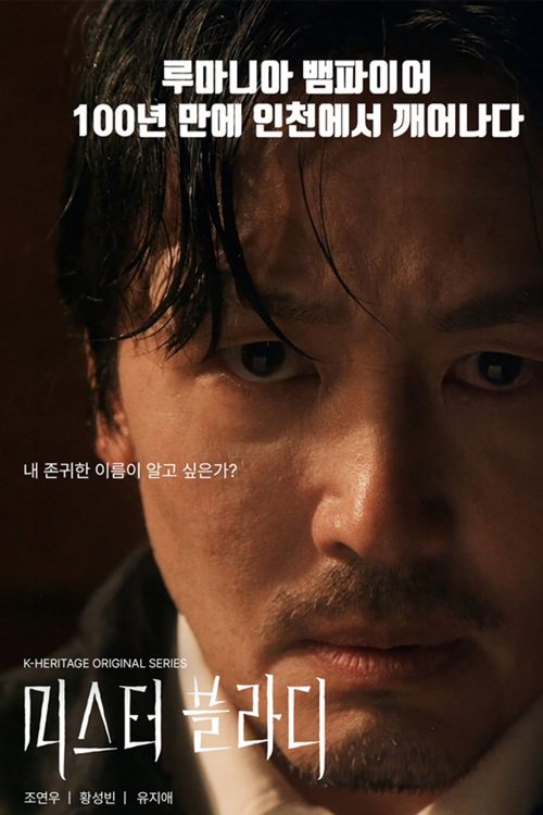 미스터 블라디