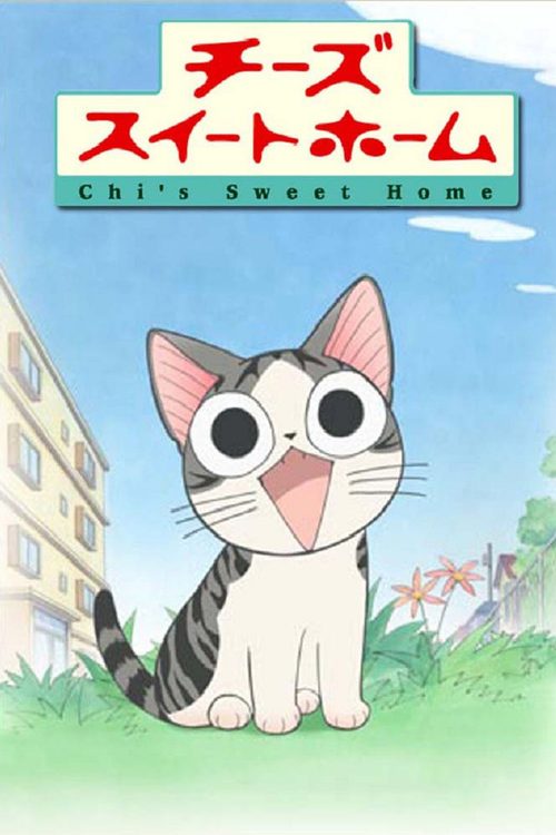 아기고양이 치