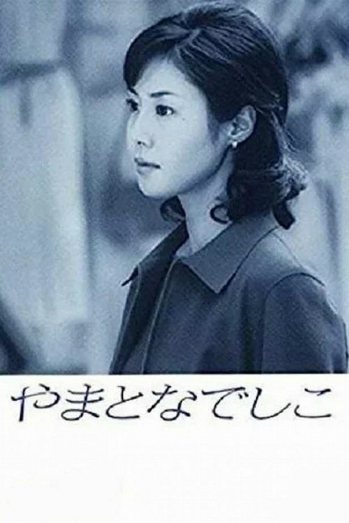내 사랑 사쿠라코