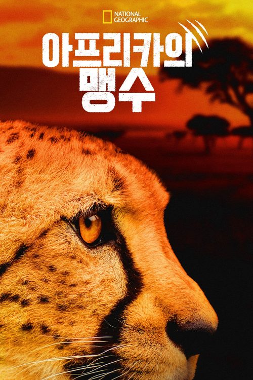 아프리카의 맹수