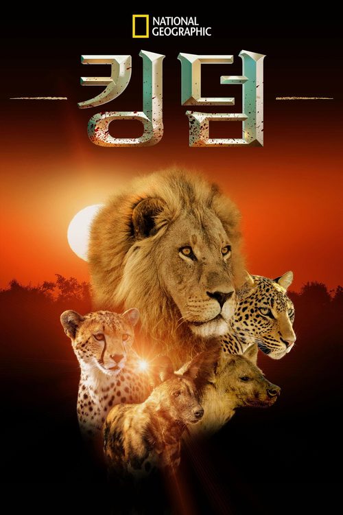 킹덤