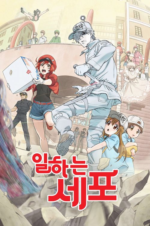 일하는 세포