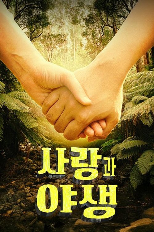 사랑과 야생
