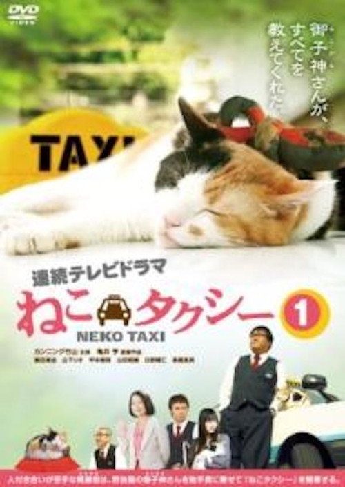 고양이 택시