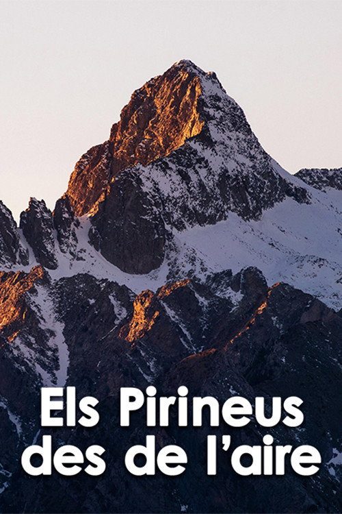 Els Pirineus des de l'aire