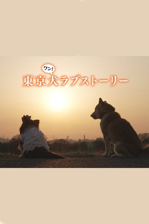 도쿄 강아지 러브 스토리