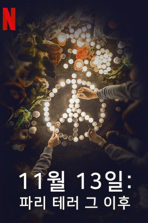 11월 13일: 파리 테러 그 이후